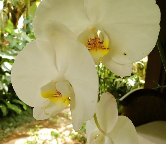 Heaven In Bali Accommodatie bij particulieren