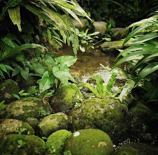 Heaven In Bali *